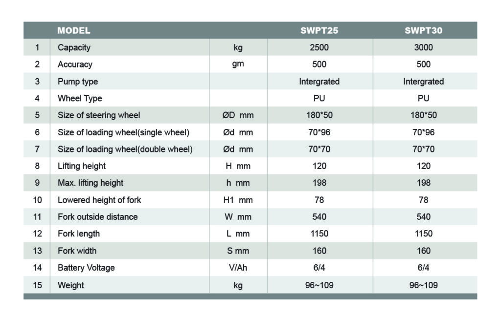 Hand Pallet Weighing Truck 02